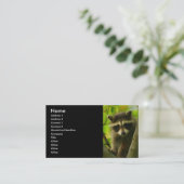 Profil oder Visitenkarte, Waschbär Visitenkarte (Stehend Vorderseite)