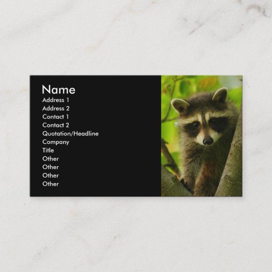 Profil oder Visitenkarte, Waschbär Visitenkarte (Vorderseite)