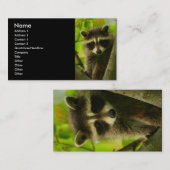 Profil oder Visitenkarte, Waschbär Visitenkarte (Vorne/Hinten)