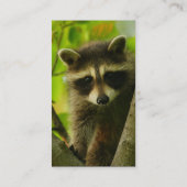 Profil oder Visitenkarte, Waschbär Visitenkarte (Rückseite)