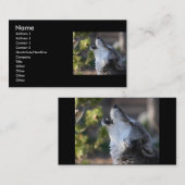 Profil oder Visitenkarte, Wolf Visitenkarte (Vorne/Hinten)