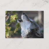 Profil oder Visitenkarte, Wolf Visitenkarte (Rückseite)