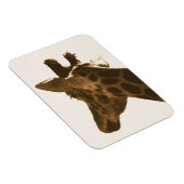 Profil Reticulate Giraffe Magnet (Rechte Seite)