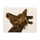 Profil Reticulate Giraffe Magnet (Horizontal)