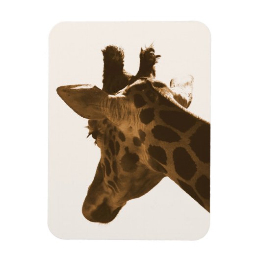 Profil Reticulate Giraffe Magnet (Vertikal)