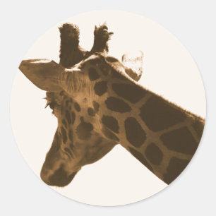 Profil Reticulate Giraffe Runder Aufkleber