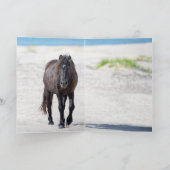 Profil von Sable Island Hallion - Grußkarte Dankeskarte (Innenseite)