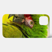 Profile of macaw at Santa Barbara Zoo Case-Mate iPhone Hülle (Rückseite (Horizontal))
