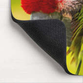 Profile of macaw at Santa Barbara Zoo Mousepad (Ecke)