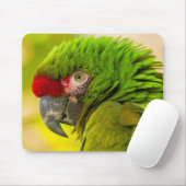 Profile of macaw at Santa Barbara Zoo Mousepad (Mit Mouse)