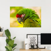 Profile of macaw at Santa Barbara Zoo Poster (Heimbüro)