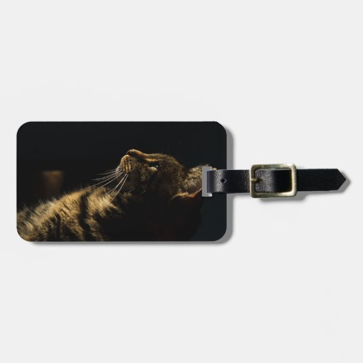 Profilkatze Gepäckanhänger (Vorderseite horizontal)