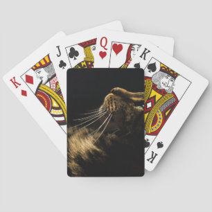 Profilkatze Spielkarten