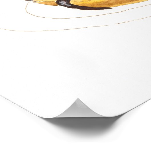 Profiterole Wasserfarbe Poster (Ecke)