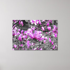 Profuse Magnolia Blooms Triptych Leinwanddruck