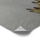 Prognathodon Mosasaur Poster (Ecke)