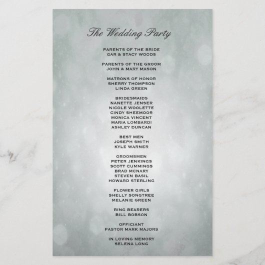 Programm | Bokeh Silver (Rückseite)