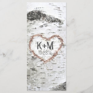 PROGRAMME FÜR DIE RUSTISCHE WÄSCHUNG VON BIRCH TRE