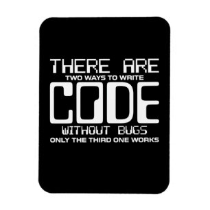Programmer Write Code Without Bugs Magnet