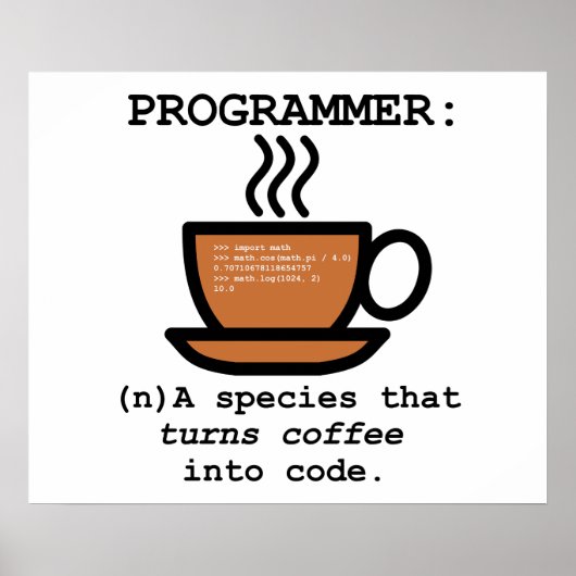 Programmierdefinition Funny Poster (Vorne)