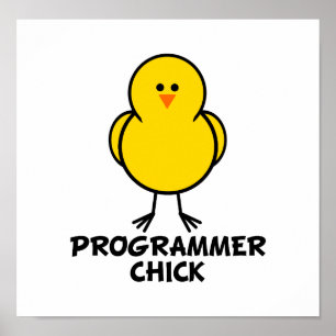 Programmierer Poster