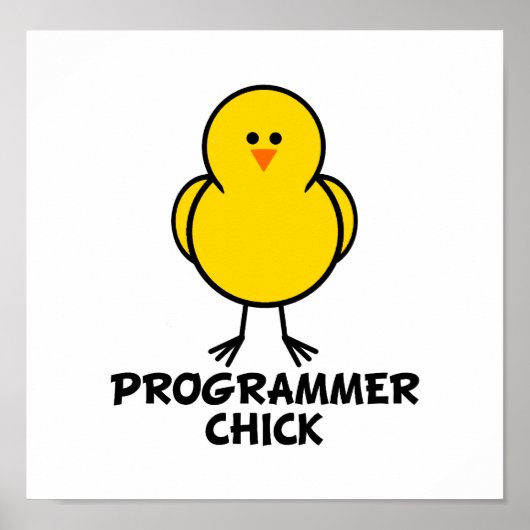 Programmierer Poster (Vorne)