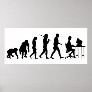 Programmierergeschäftsanalytiker-Sekretärgang Poster