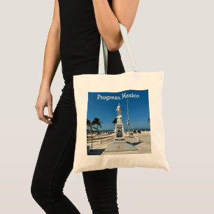 Progreso, Mexiko - Tasche des Haushalts