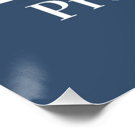 Project 2026 Vote for Democracy Poster (Ecke)