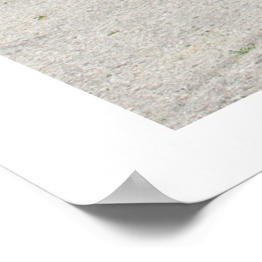 ProjectCamaro.com 11. Juni Poster (Ecke)