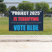 Projekt 2025 ist erschreckend - STIMME BLUE 2024 Banner (Insitu)