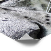 Projekt Avalon Poster (Dunkel) (Ecke)