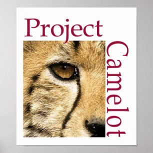 Projekt-Camelot-Logo-Poster Poster