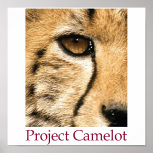 Projekt Camelot Plakat
