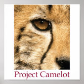 Projekt Camelot Poster (Vorne)