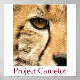 Projekt Camelot Poster