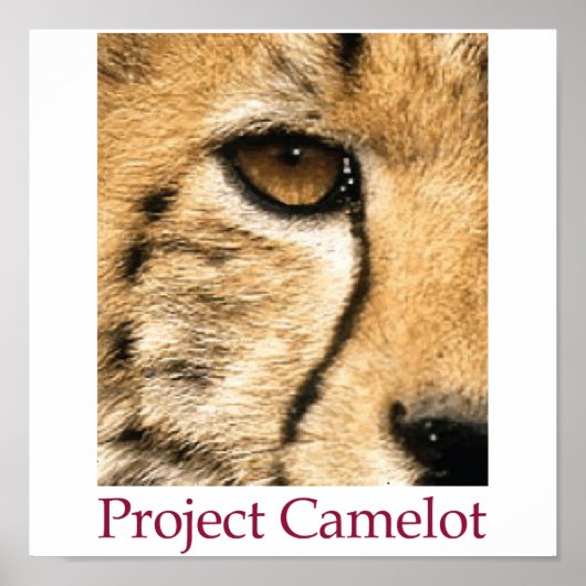 Projekt Camelot Poster (Vorne)