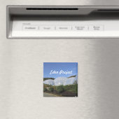 Projekt Eden Magnet (In Situ (Geschirrspüler))