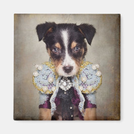 Projekt für die Unterbringung von Heimtieren in Lo Magnet