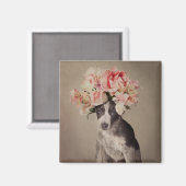 Projekt für Unterkünfte für Heimtiere - Opal Magnet (Vorderseite/Rückseite)