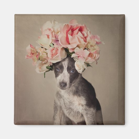 Projekt für Unterkünfte für Heimtiere - Opal Magnet (Vorne)