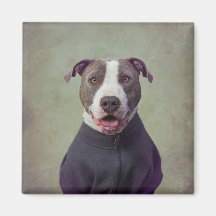 Projekt für Unterkünfte - Großer guter Junge