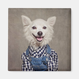 Projekt für Unterkünfte - Tonka Magnet