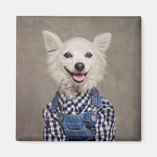 Projekt für Unterkünfte - Tonka Magnet (Vorne)