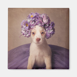 Projekt zur Unterbringung von Haustieren in Fiona Magnet