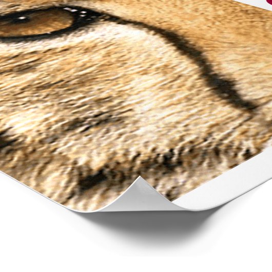 PROJEKTKAMELOT-Plakat Poster (Ecke)