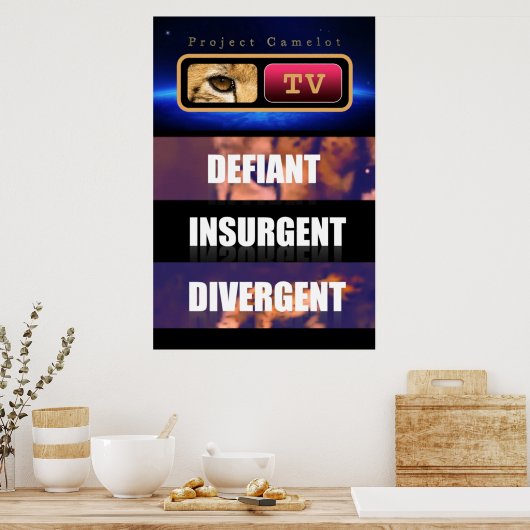 PROJEKTKAMELOT POSTER (Küche)