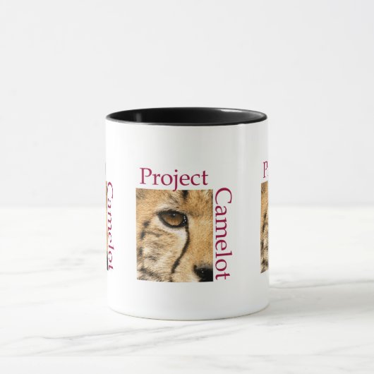 PROJEKTKAMELOTTASSE TASSE (Zentrum)