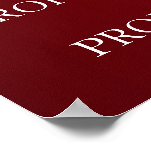 PROJEKTPOSTER POSTER (Ecke)