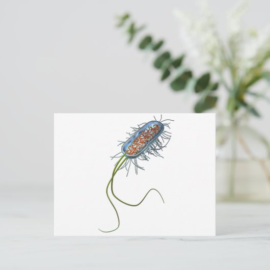 Prokaryotic Zelle Postkarte (Stehend Vorderseite)